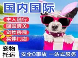 天津滨海机场货运国际宠物托运 【国